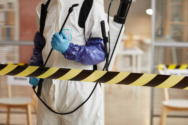 Professional Sewage Cleanup technician working in Dorothy, NJ